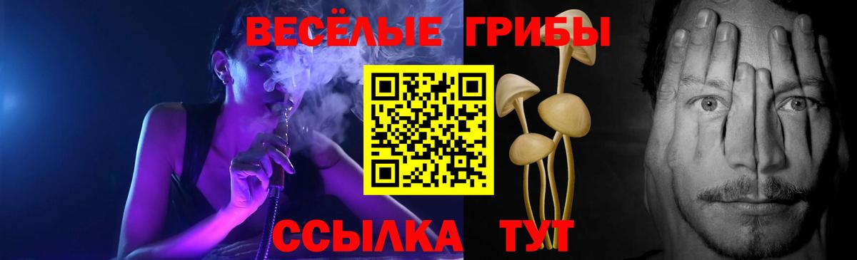 Галлюциногенные грибы мухоморы  Вход с VPN  Урус-Мартан 